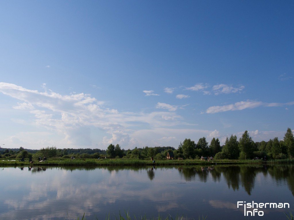 Платный водоем «Фишка - Петряиха» в Московской области